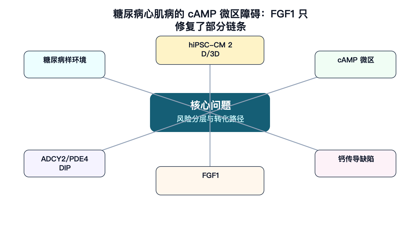 文章脉络思维导图