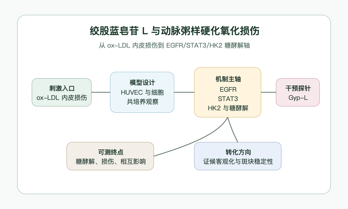 文章脉络思维导图