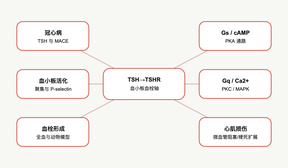 文章脉络思维导图