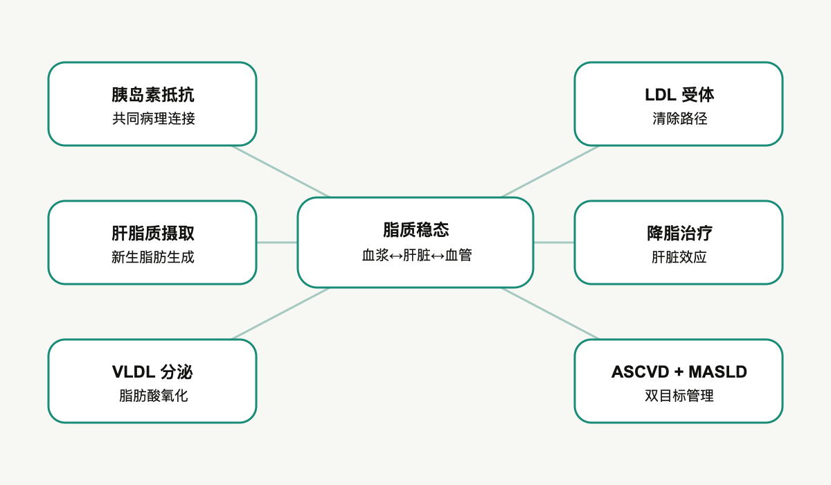文章脉络思维导图