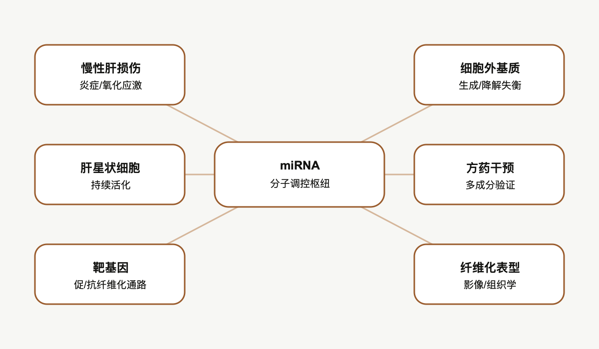 文章脉络思维导图