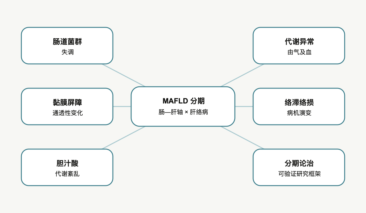 文章脉络思维导图