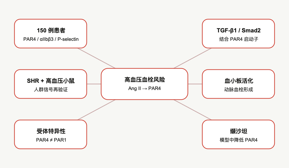 文章脉络思维导图