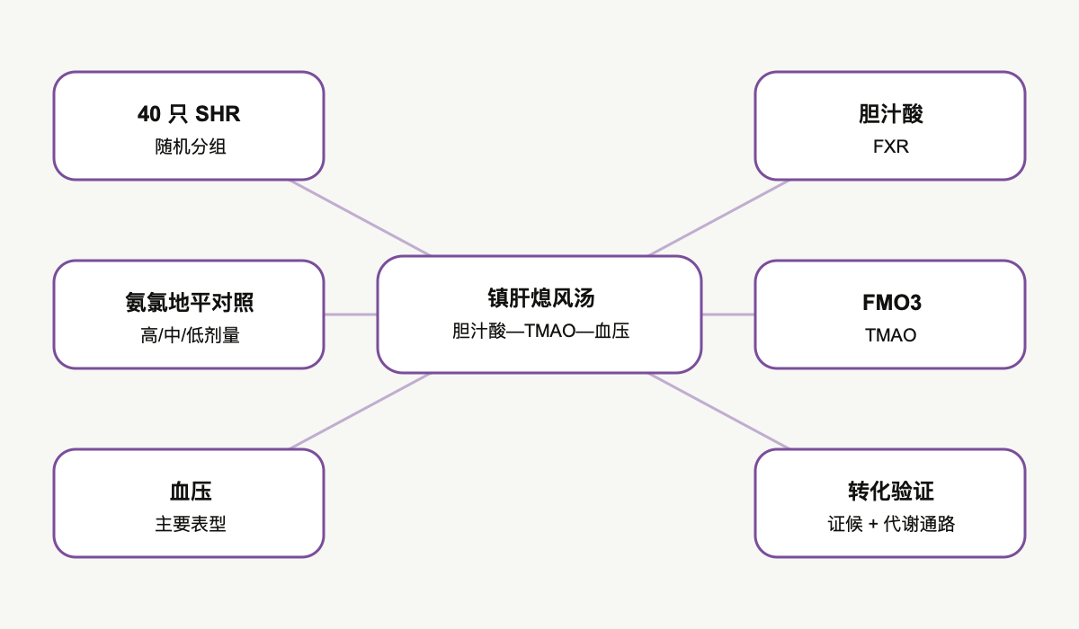 文章脉络思维导图