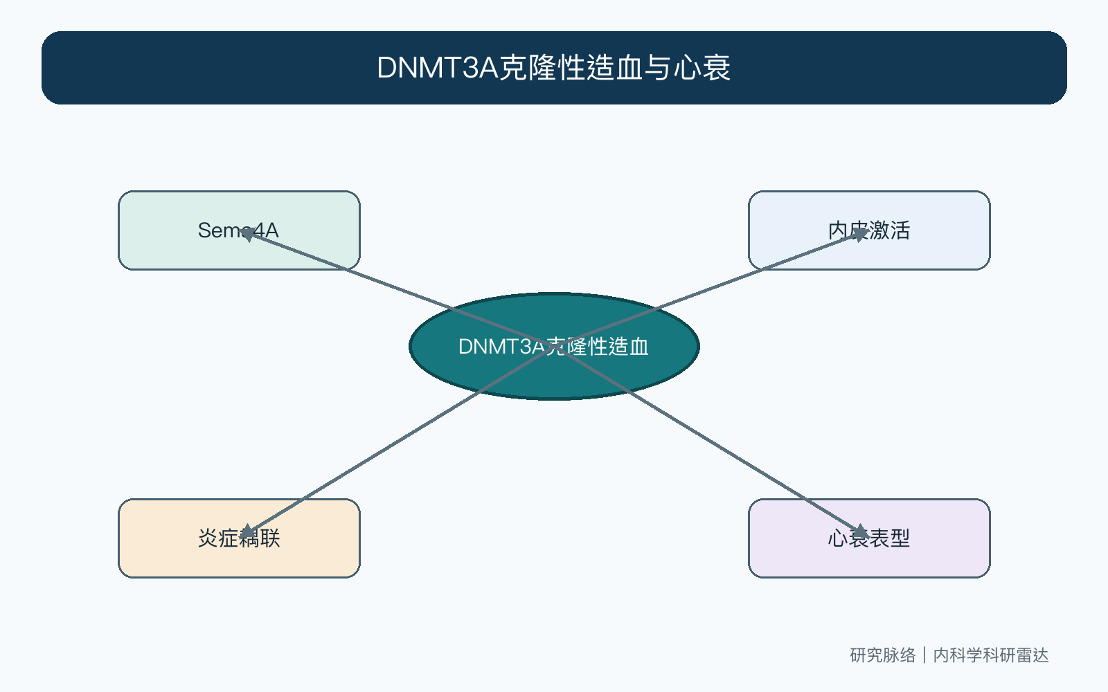 文章脉络思维导图