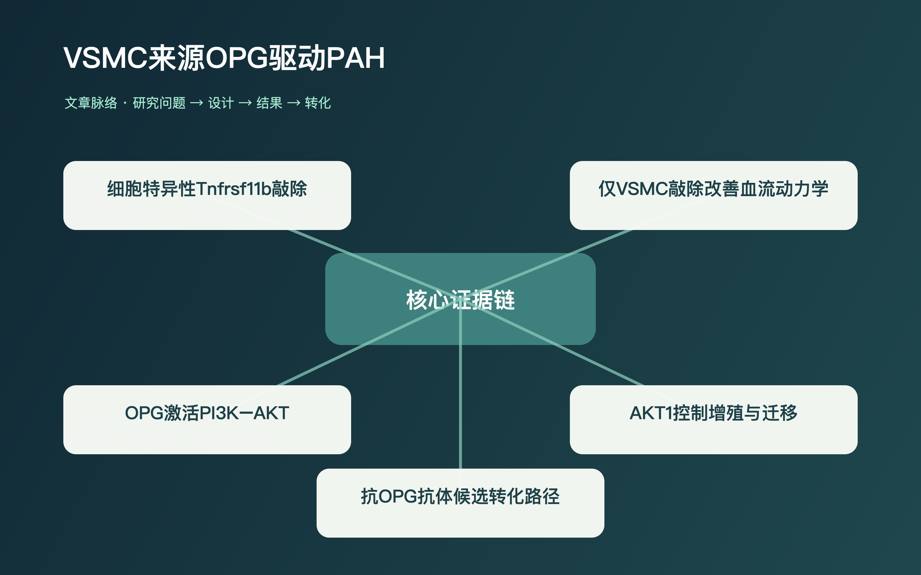文章脉络思维导图