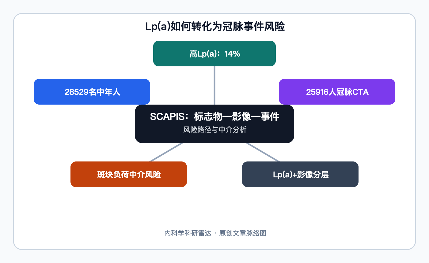 文章脉络思维导图