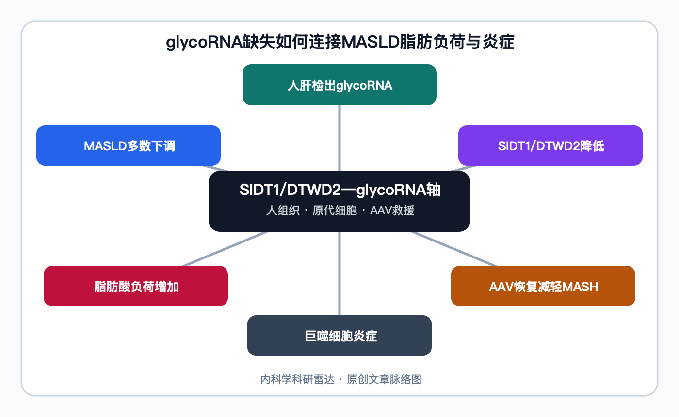 文章脉络思维导图