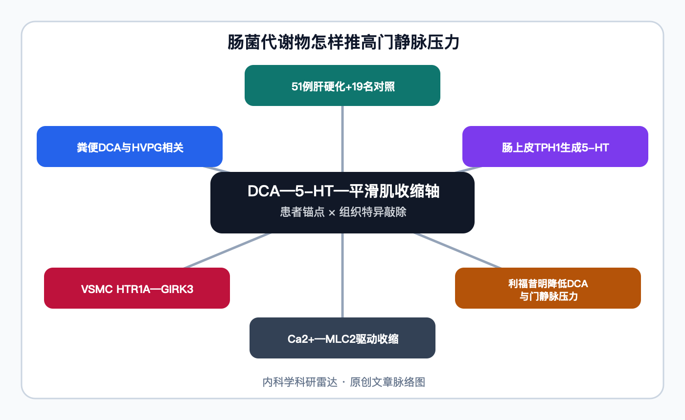 文章脉络思维导图