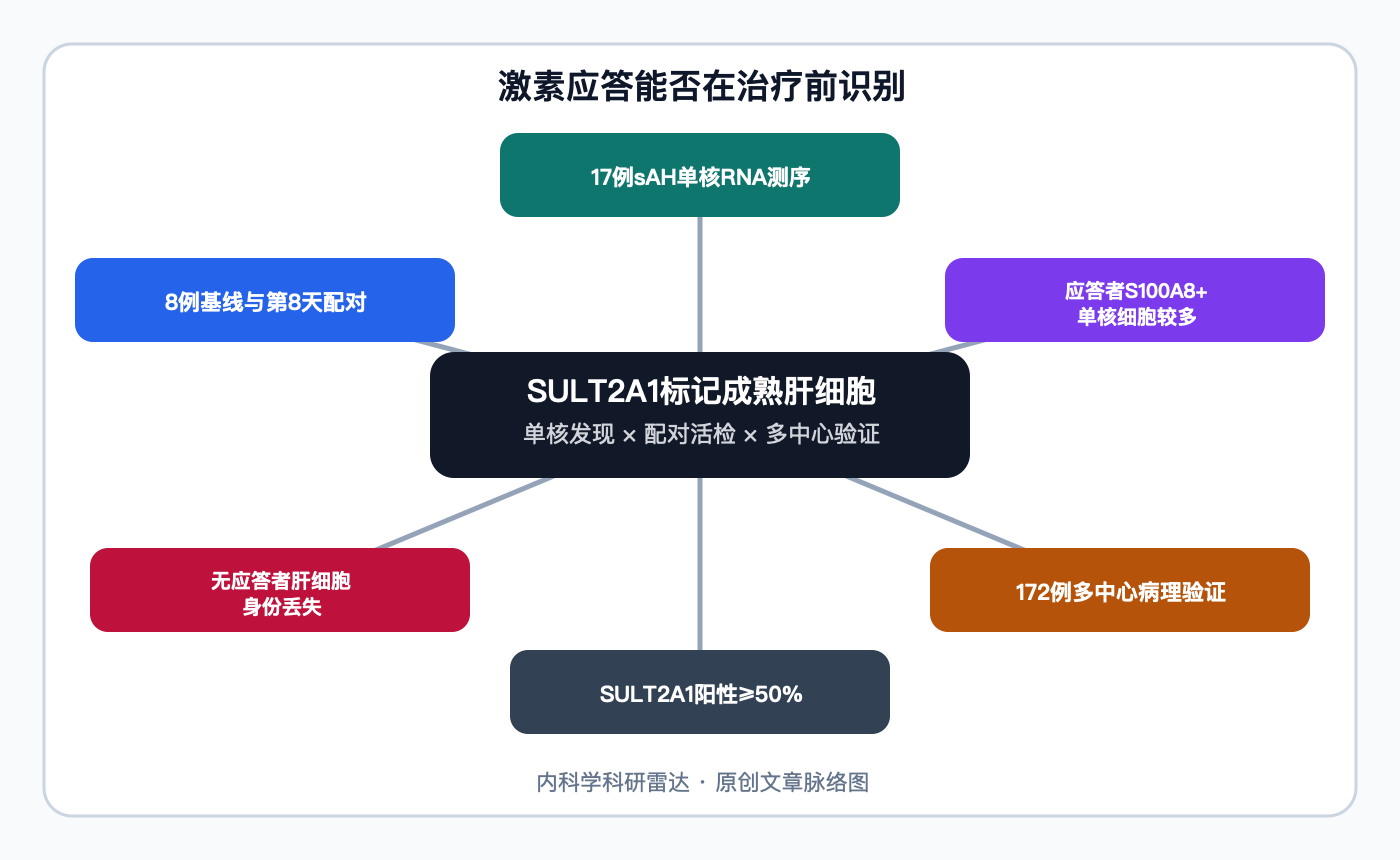 文章脉络思维导图