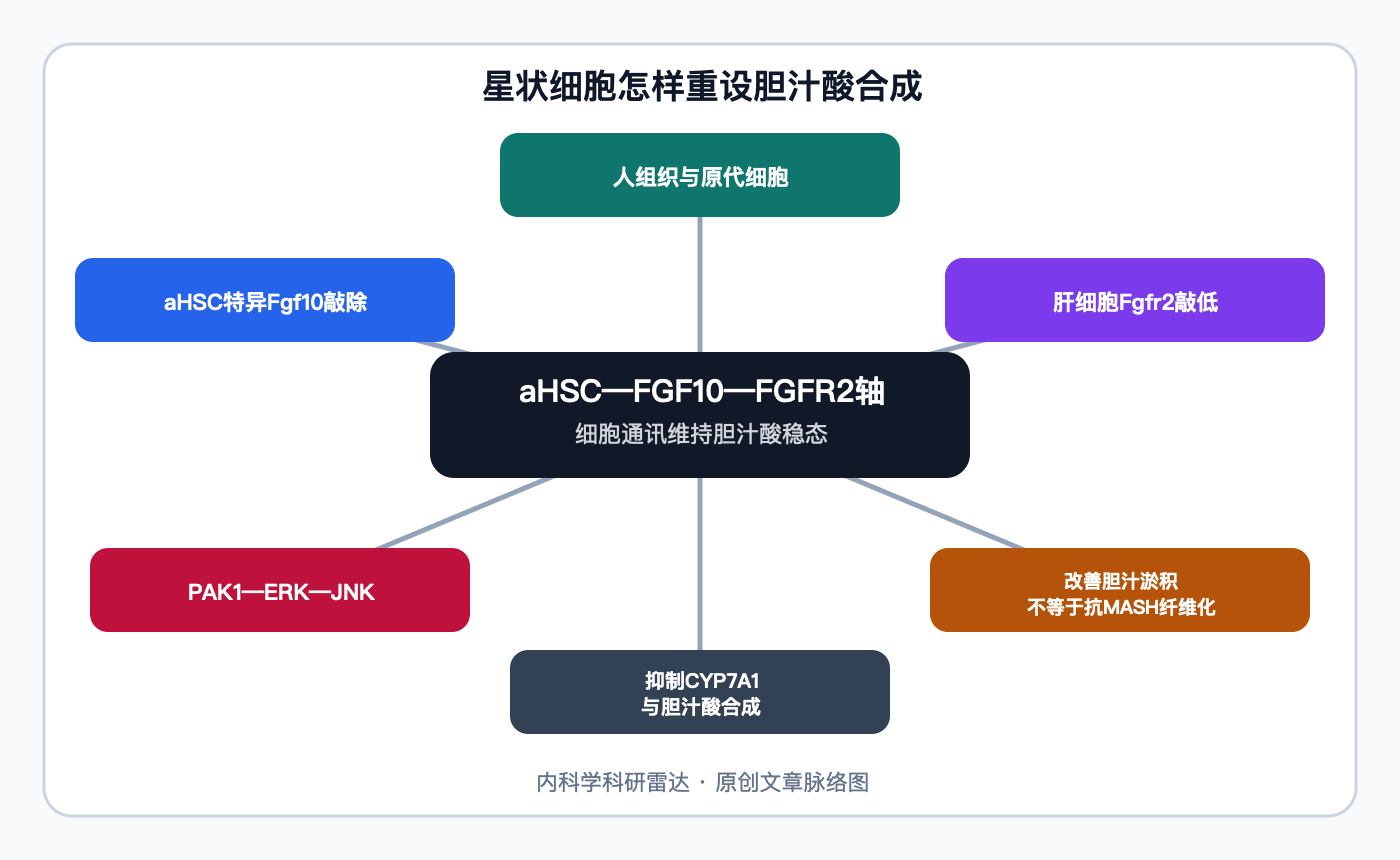 文章脉络思维导图