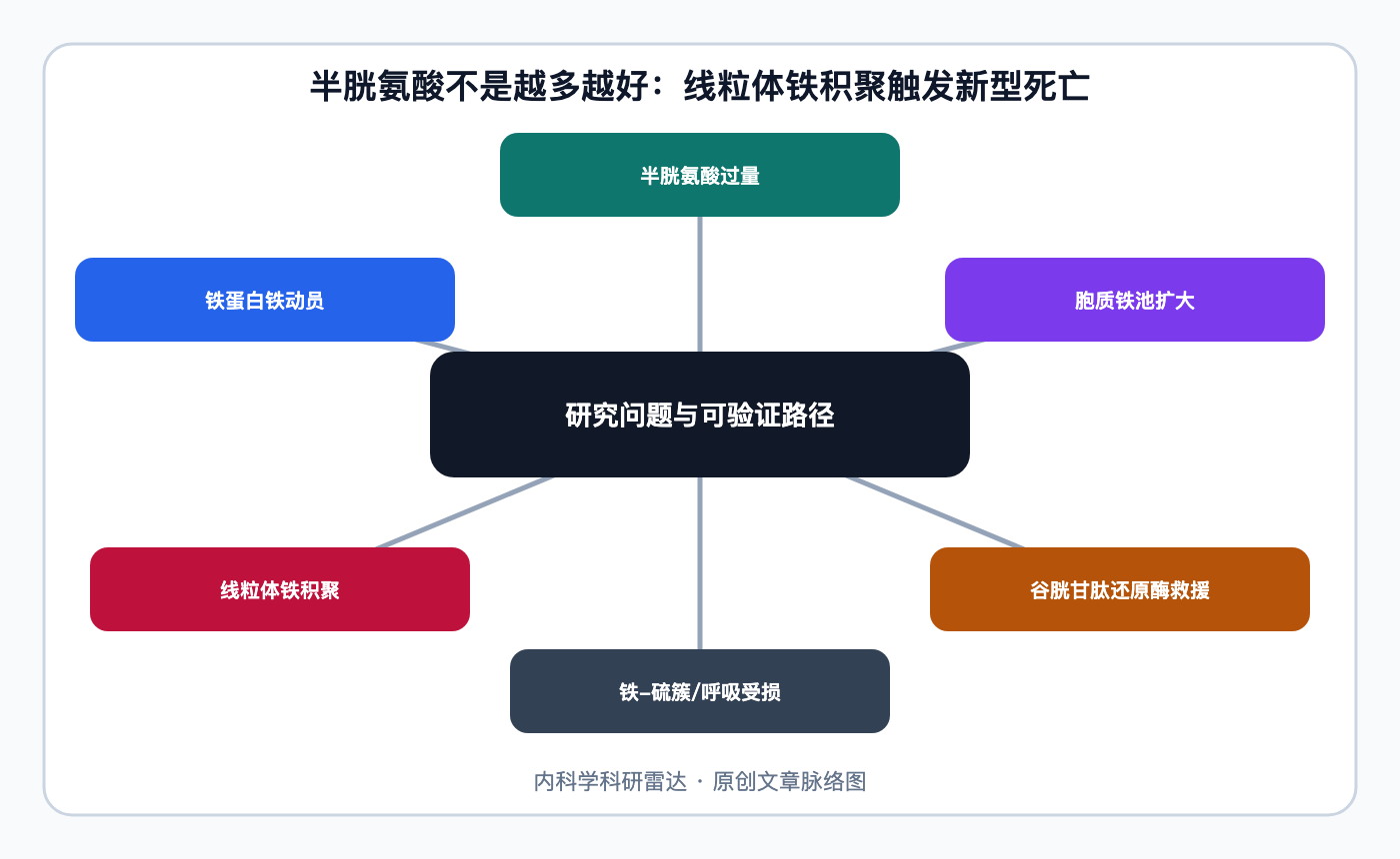 文章脉络思维导图