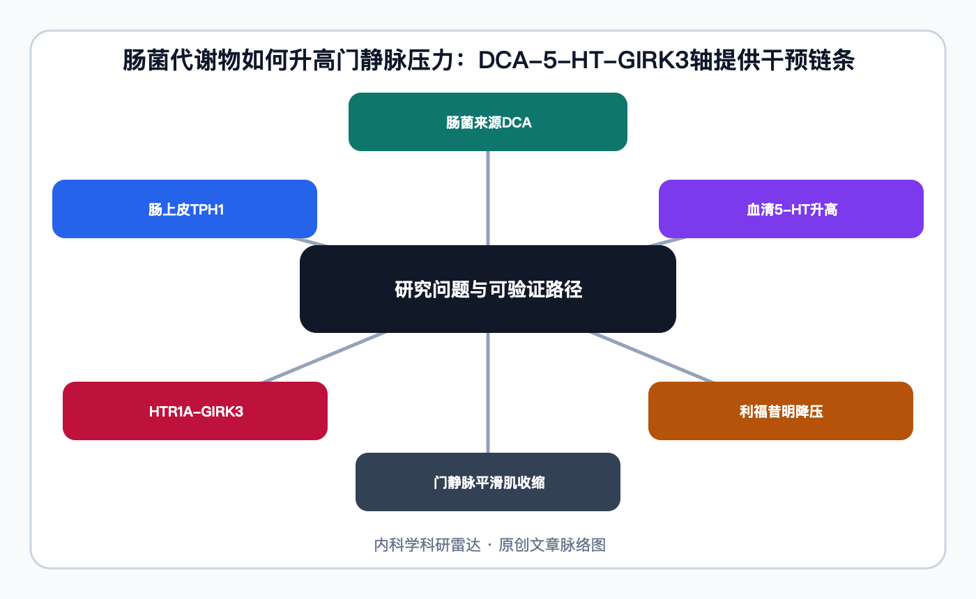 文章脉络思维导图