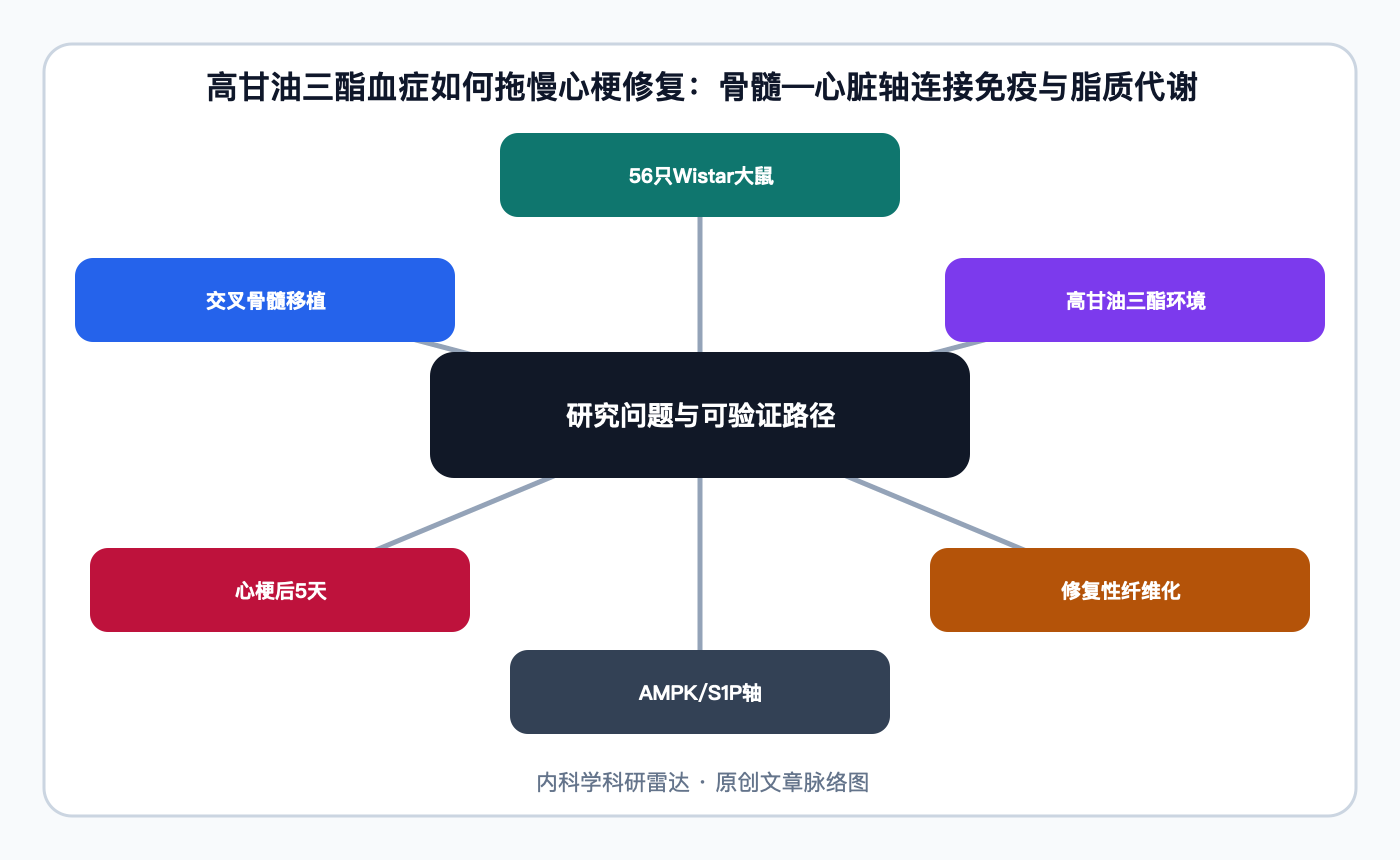 文章脉络思维导图