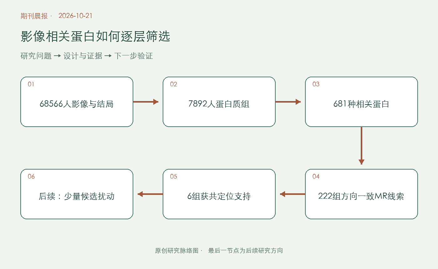 文章脉络思维导图