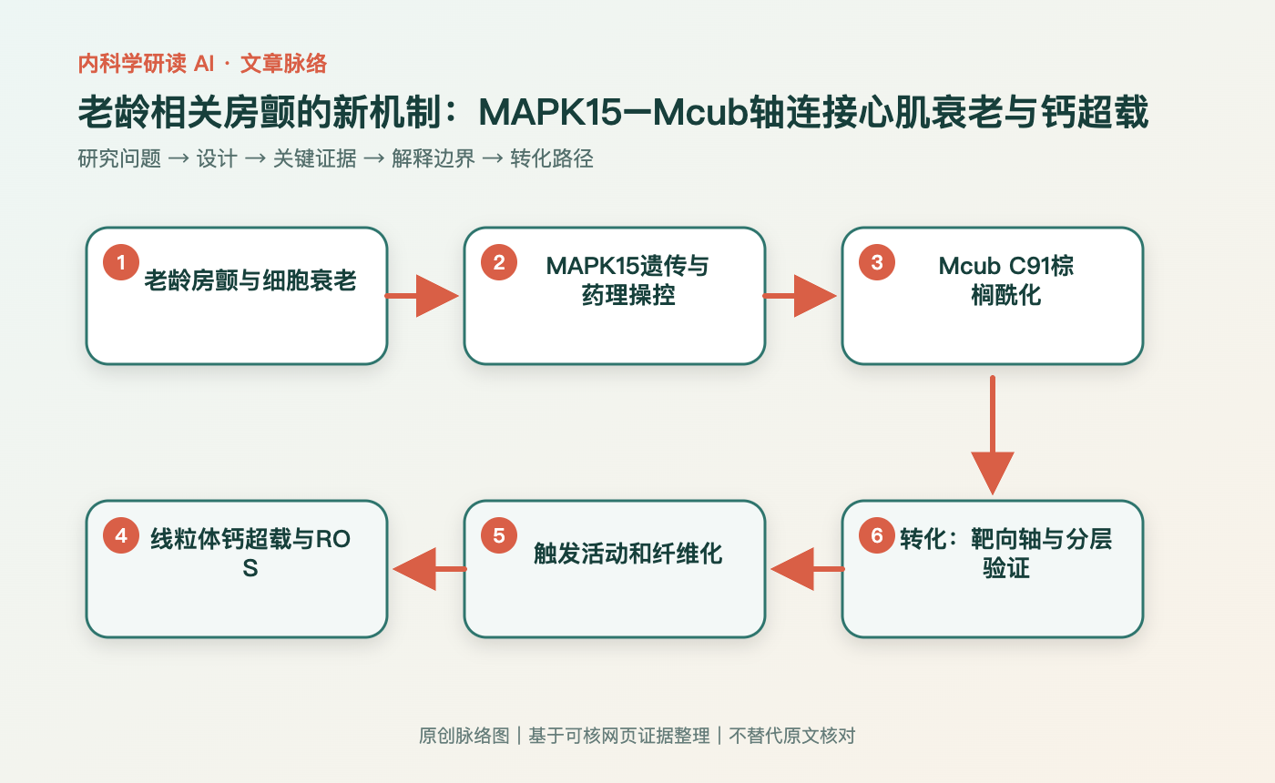 文章脉络思维导图